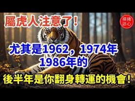 後半年是你翻身的機會！尤其是1962年、1974年、1986年的屬虎人，今年正逢事業轉運＋財星入命，只要抓住機會，你們，是命中註定要逆轉人生的人！