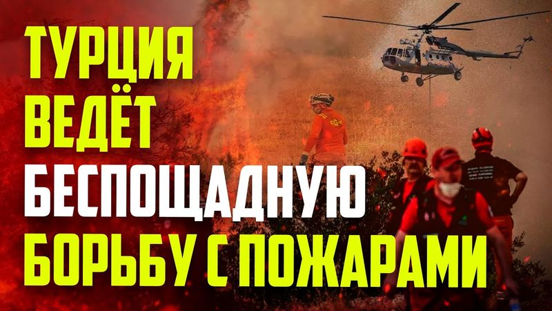 Лесные пожары в Турции подобрались к городам и сёлам