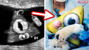 Билл Шифр Родился Вновь! - Дата Рождения: 10 мая 2025 года