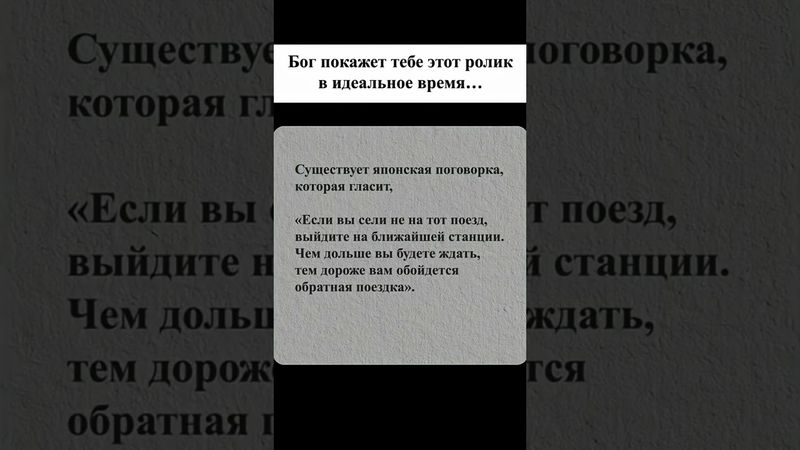 Мудрый понимает, что знает. #курбатовмаксимниколаевич #Massimo_v_mire #MAXIMUS #топ #фа #мотивация
