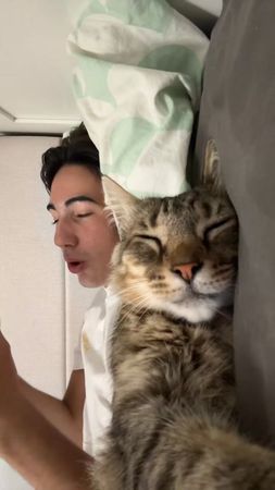 ✨Therapy boy✨ #cat #therapy 