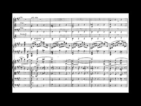 Ignacy Jan Paderewski - Piano Concerto Op. 17 (1888)