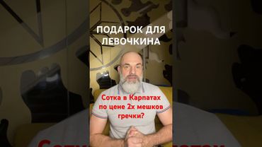 Соратнику Януковича почти даром продали землю в Карпатах?