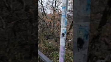 Иду пешком в микрорайон Костарево!😜😂#Пермь #Мотовилиха #Яндекс