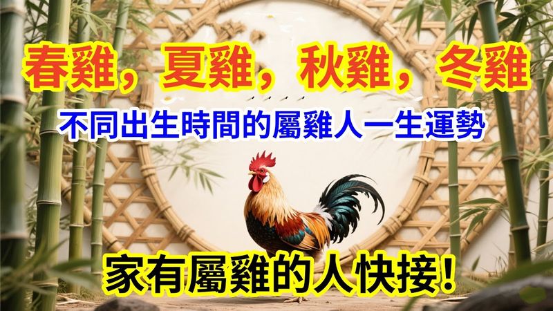 春雞，夏雞，秋雞，冬雞，不同出生時間的屬雞人一生運勢，家有屬雞的人快接！轉發功德無量！ #生肖 #人生感悟 #道家文化