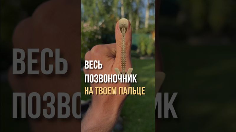 Все в одном месте! Помоги себе сам!