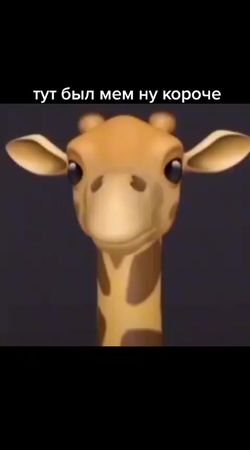 смешнявка типо , не в обиду короче всем сорян #мем #жираф #жирафговор...