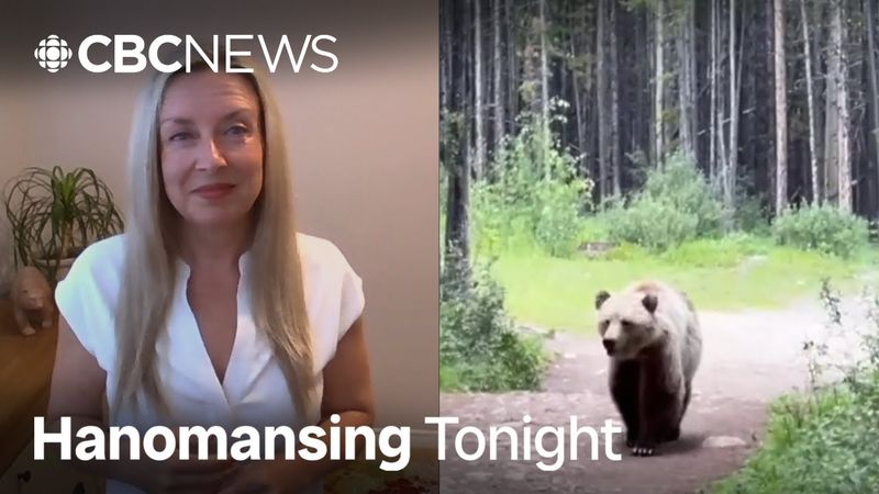 What can be learned from Calgary couple's grizzly bear encounter | Hanomansing Tonight
