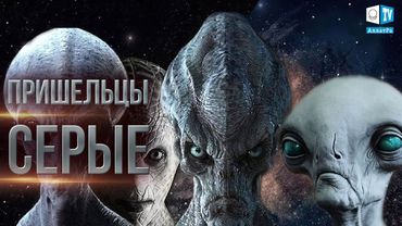Инопланетные расы  История человечества давностью 25 000 лет
