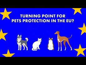 Will new animal welfare law curb illegal trade?