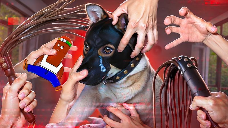 ЗООФИЛЬСКИЙ ВОР В ЗАКОНЕ - СУВОРОВ И КРАЖА СОБАКИ АРКАДИЯ