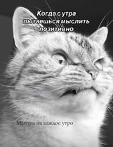 МАНТРА НА УТРО. Когда с утра не выспалась и пытаешься мыслить позитив...