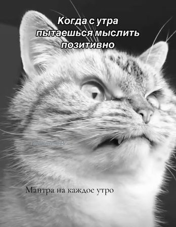 МАНТРА НА УТРО. Когда с утра не выспалась и пытаешься мыслить позитив...