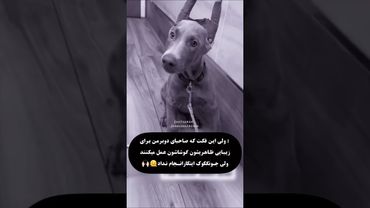 مهربونی🥺💜#shorts #bts #lisa_bts7 #بی_تی_اس #جونگ_کوک #تهیونگ #اکسپلور #کیپاپ #کیوت #suga #ادیت