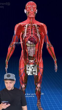 С помощью этого сайта вы узнаете все о человеческом теле! ✅ Это 3D-пл...