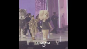 PuppyM in action! A menace just like his dad #seungmin #puppym #straykids #skz #skzoo