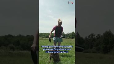 Pseći trikovi s frizbijem