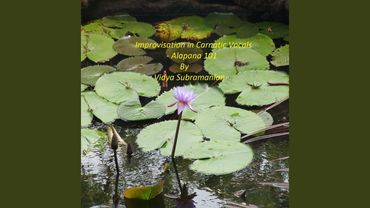 Alapana Lesson: Raga Sriranjini