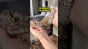 #микрозелень #огороднаподоконнике #чечевица #здоровьеикрасота #зелень