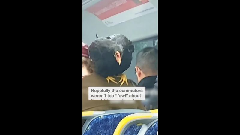 Woman brings her pet chicken on Sydney train