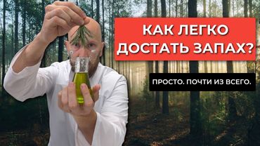 Как сделать спиртовую экстракцию (тинктуру) аромата на примере сосны