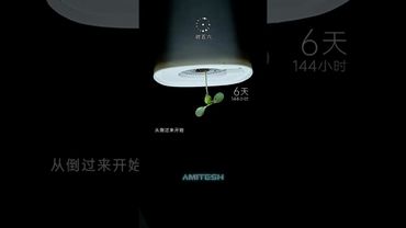 Куда будет расти растение вверх ногами? #амитеш #растения #эксперимент