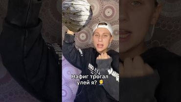 Руку сунул в улей я #Shorts