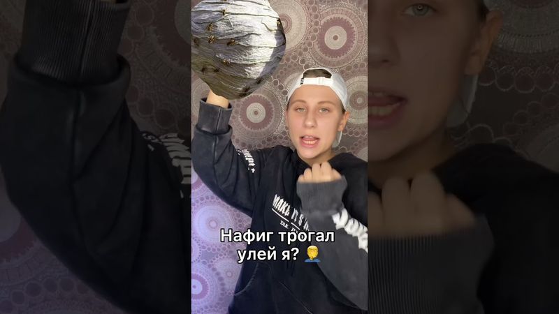 Руку сунул в улей я #Shorts