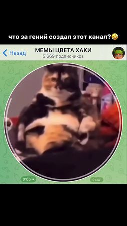 Тгк: hakimeme #мемы #прикол #кружок #мем #приколы  