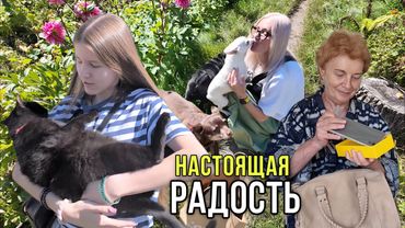 VLOG. Собаки меня не узнали. Дарю маме подарок. Кот в истерике.