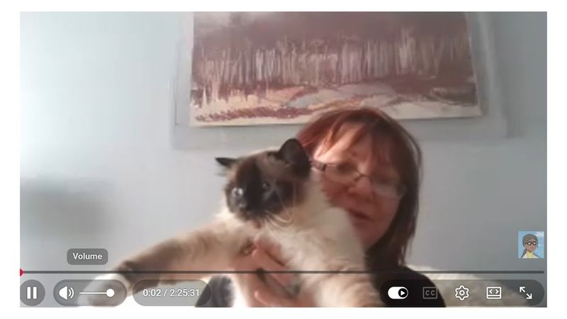 КУРКУМИН: разбор ПУГАЛОК.