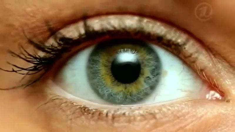 Время (Первый канал, 18.09.2013) Анонс