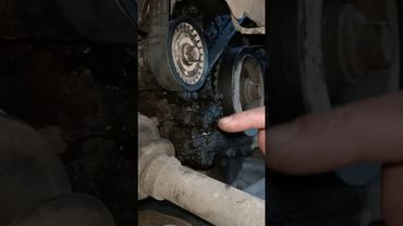 Форд Мондео 3. Установка(замена) ремня навесного оборудования