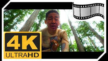 Китая укусил Подводный Слизень, вызывающий паралич Нервной Системы ¦ После нашей эры ¦ 4K ULTRA HD