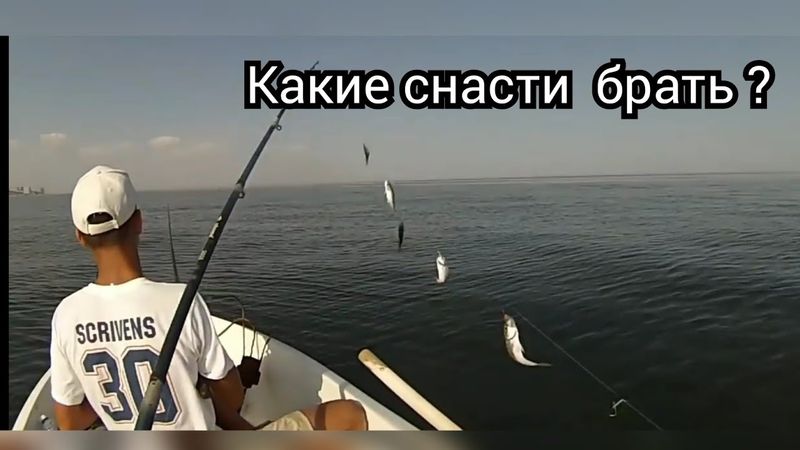 Ловля ставриды на Черном море.На что ловить и когда?