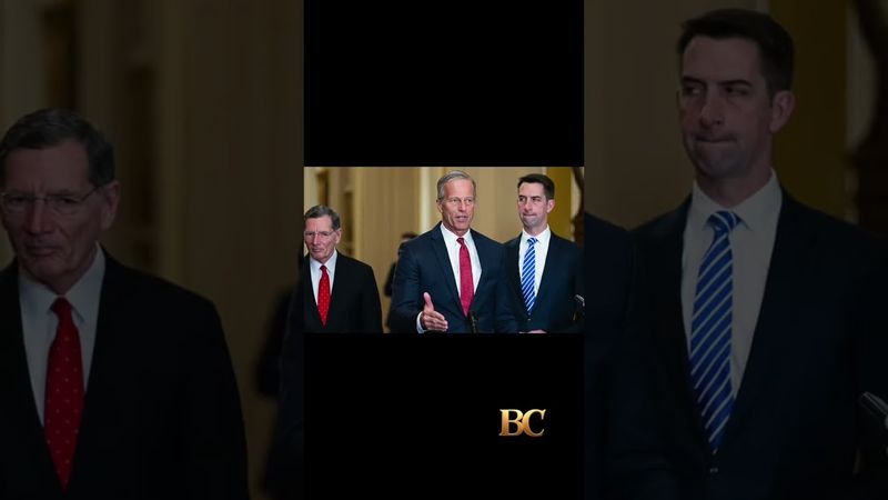 Schumer, Democrats plot coordinated resistance to Trump’s ‘one ugly bill’