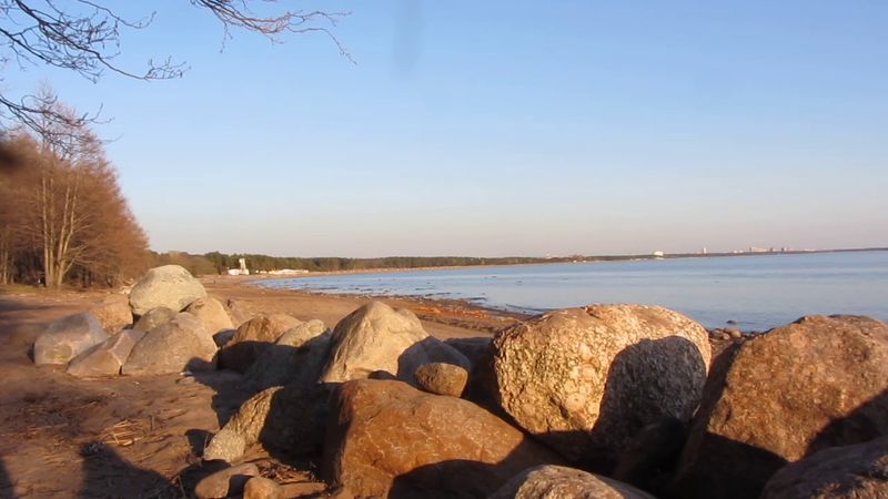 Зарисовки пастелью, пленеры, уроки с графиком, профессионально оразование. Финский залив 2019