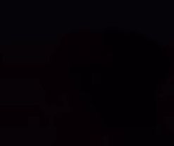 #letmeknow #meme #dog