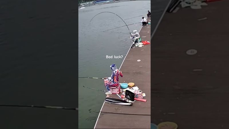 FAILED? 🫵🎣 #pesca #fishing #shortsfeed #shortvideo #shorts