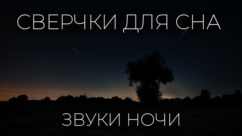 Звуки сверчков для сна, поле, деревня, костёр. Музыка для сна и релакса.