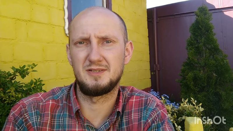 Болезни Малины. Дидимелла.