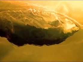 Тим Градов. Остров