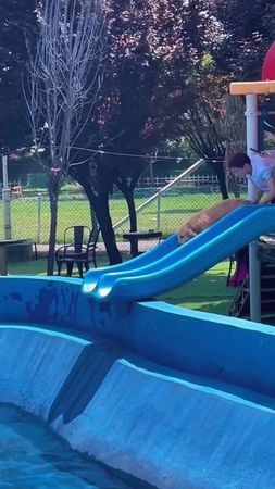 Have a golden retriever they said🐶🐶🤣🥰#dog#funny#funnyanimals#funnypet...