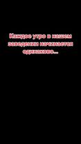А у вас как? 😄 #работа #начальник #юмор