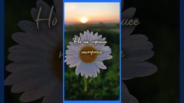 Забей на все...