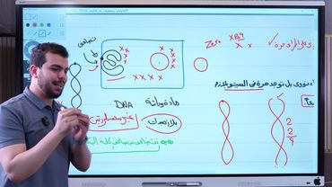 DNAفي أوليات وحقيقيات النواه وتكثيف DNA