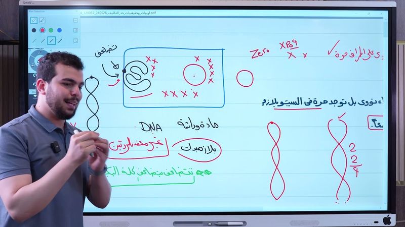 DNAفي أوليات وحقيقيات النواه وتكثيف DNA