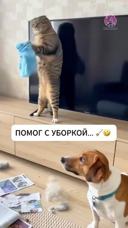 Эпизод 19 (к): Уборка на 50 000 рублей 🧹😂 #юмор Федя просто хотел пом...