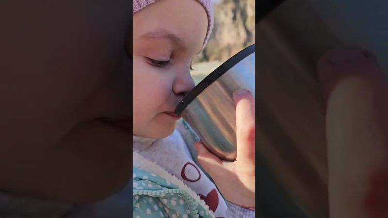 Наше Воскресенье 25 февраля 2024 года #солохаул #воскресенье