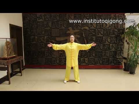 Health Qigong Pa You Fang